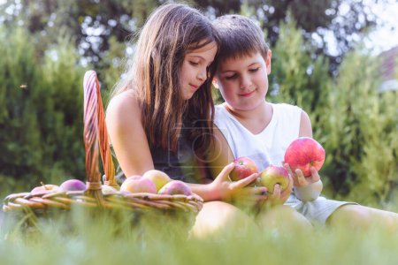 Photo for Brother and sister posing with basket full of apples - Royalty Free Image