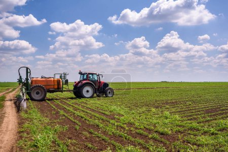 Foto de Plaguicidas rociados en campos de cultivo de soja en verano. Tractor que aplica pesticidas en el campo. - Imagen libre de derechos