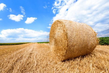 Téléchargez les photos : Haystack sur la prairie en été - en image libre de droit