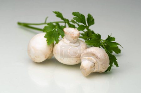 Photo for Three mushrooms with with parsley on white table - Royalty Free Image