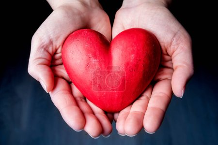 Photo for Red heart in hands - Royalty Free Image