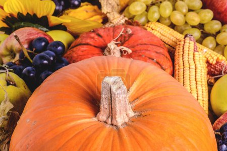 Photo for Symbols of Thanksgiving with fruits and vegetables - Royalty Free Image