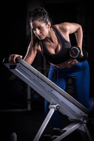 Photo for Beautiful Woman Bodybuilder Lifting Dumbbell on Adjustable Bench - Royalty Free Image