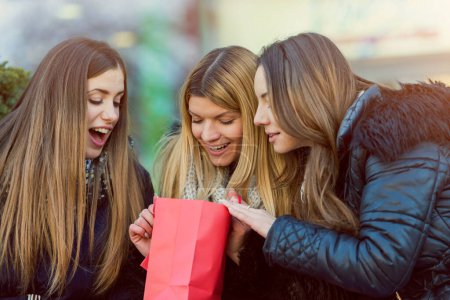 Téléchargez les photos : Filles heureuses après le shopping - en image libre de droit