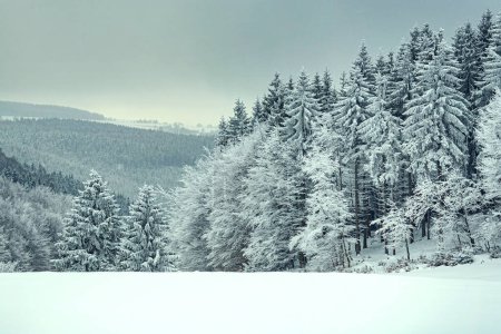 Foto de Paisaje invernal cerca de Masserberg en Turingia, Alemania - Imagen libre de derechos