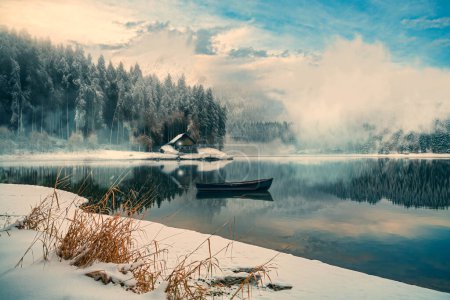 Téléchargez les photos : Un lac hivernal avec une petite île dans la forêt tôt le matin - en image libre de droit