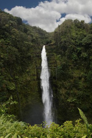 Akaka Falls en la Isla Grande en Hawaii _ 2127