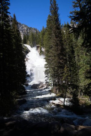 Hidden Falls in Grand Teton National Park_2496