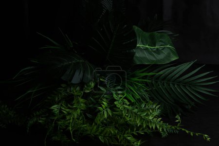 Foto de Bush de hojas tropicales sobre fondo oscuro. Plantas realistas de tela plástica artificial con espacio de copia. - Imagen libre de derechos