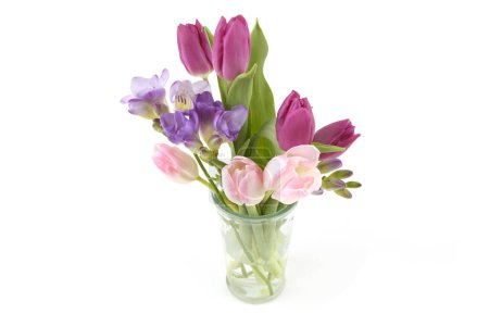 Téléchargez les photos : Fleurs Tulipe et Freesia dans un vase isolé sur fond blanc. Bouquet de fleurs de printemps rose pourpre. - en image libre de droit