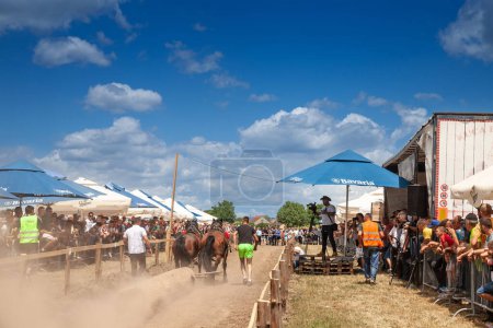 Photo for RUMA, SERBIA - JUNE 26, 2022: Selective blur on a draft horsepulling a trunk cheered by people in the Rumska Straparijada, an agricultural market dedicated to horses - Royalty Free Image