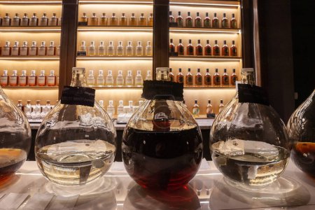 Foto de BELGRADE, SERBIA - 2 DE JULIO DE 2022: Varias botellas de rakija, tanques demijohn, de diferentes tamaños y sabores de frutas, expuestas en un bar. Rakija es un alcohol tradicional de los Balcanes - Imagen libre de derechos