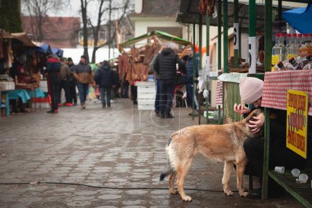 Photo for KACAREVO, SERBIA - MARCH 6, 2022: Selective blur on a woman, a merchant, by a stand of Slaninijada, a market in Kacarevo petting a stray dog, a lutalica, atypical serbian stray dogs, in Serbia, which as an important group of abandoned dogs. - Royalty Free Image