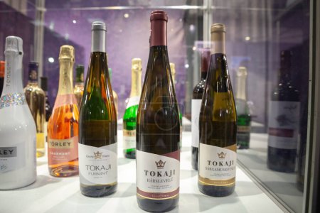 Téléchargez les photos : BELGRADE, SERBIE - 18 NOVEMBRE 2023 : Plusieurs bouteilles de vin hongrois, principalement tokaji, vin blanc, à vendre dans un magasin de vin de Belgrade, Serbie. Tokaji est un vin blanc doux de Hongrie. - en image libre de droit