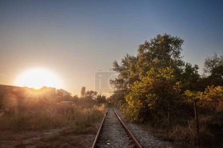 Abandoned railway track, on a defunct line in Serbia, Europe, rusty, surrounded by trees and a rural environment, during a sunny afternoon dusk.