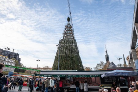 Téléchargez les photos : DORTMUND, ALLEMAGNE - 13 NOVEMBRE 2022 : Arbre de Noël géant assemblé sur la place principale de Dortmund, se préparant pour le marché de Noël de Dortmund, une fête majeure même en Allemagne. - en image libre de droit