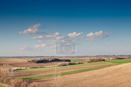 Panorama der Anbauflächen in der serbischen Landwirtschaft in Deliblatska pescara, auch Deliblatosand genannt, in der Vojvodina, Banat-Region, in Serbien, einem bedeutenden landwirtschaftlichen Ort Mitteleuropas.