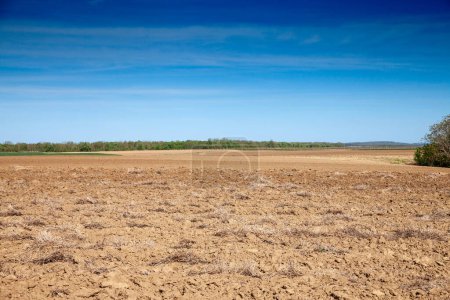 Panorama des champs, un champ vert et un champ labouré brun avec des sillons sur le paysage agricole, dans la campagne, berkasovo, Serbie, Voïvodine. La charrue est une technique agricole pour fertiliser une terre.