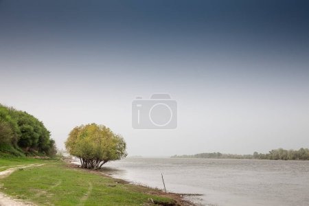 Paysage du Danube à Slankamen, Voïvodine, Serbie, lors d'un après-midi de coudy, face à une forêt verdoyante. Le Danube est le plus grand fleuve d'Europe centrale.