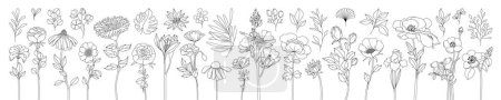 Photo for Set of floral compositions. Selection of Vector, leaves branches and blooming flowers Outlined Illustrations. Vector ornamental herbs bouquets. Hand Drawn designs for Wedding Templates - Royalty Free Image