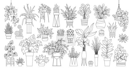 Photo for Houseplants. Vector set of outline drawings plants, succulents in pot. Indoor exotic flowers with stems and leaves. Monstera, ficus, pothos, yucca, dracaena, cacti, snake plant for home and interior - Royalty Free Image