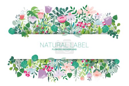 Photo for Spring banner floral decoration with cute multicolored blooming flowers .border on white background.Vector horizontal banner Summer flora frame - Royalty Free Image