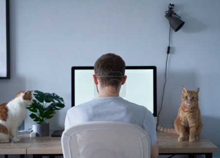 Téléchargez les photos : Gai mâle caucasien freelance ingénieur logiciel assis sur le lieu de travail dans le bureau à domicile à peine travailler à l'aide d'un ordinateur avec deux chats tabby assis sur une table. Jeune développeur homme gris en t-shirt - en image libre de droit