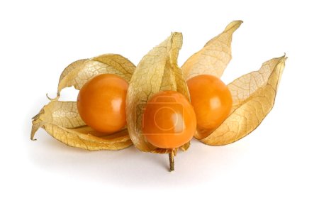 Photo for Physalis fruits close up on white background - Royalty Free Image