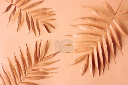 Arrangement of palm leaves. Pantone color of the year 2024 Peach Fuzz