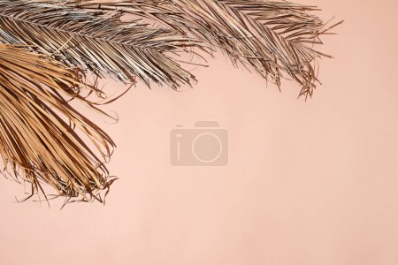 Téléchargez les photos : Fond de feuilles de palmier sèches sur fond beige - en image libre de droit