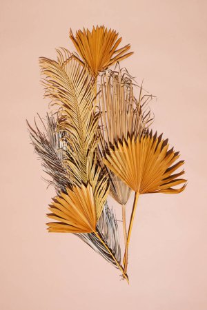 Téléchargez les photos : Composition des feuilles de palmier sèches sur fond beige - en image libre de droit