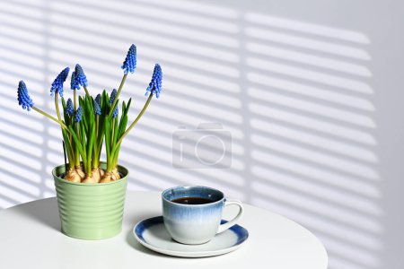 Téléchargez les photos : Tasse de café et de fleurs de muscari - en image libre de droit