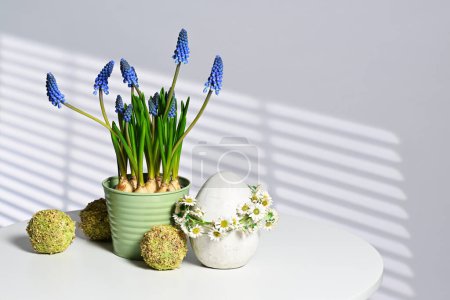 Téléchargez les photos : Fleurs de printemps et oeuf de Pâques décoré - en image libre de droit