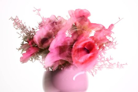 Téléchargez les photos : Beau bouquet abstrait d'anémone sur blanc - en image libre de droit