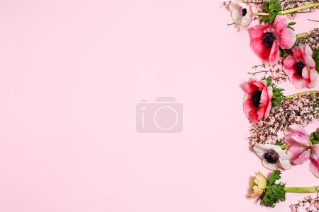 Téléchargez les photos : Cadre de belles fleurs d'anémone sur rose - en image libre de droit