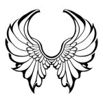 Set of hand drawn bird or angel wings. Contoured doodle wings set. vector illustration.