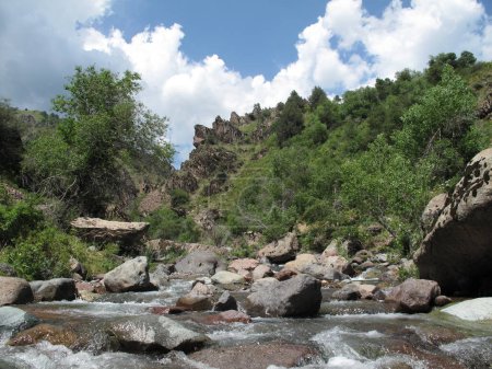 mountain river flows into the gorge on a sunny day and many stones