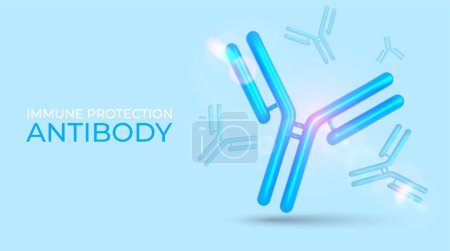 Illustration for Antibody immunoglobulin 3D molecule. Protective proteins. Medical banner. Vector illustration. - Royalty Free Image