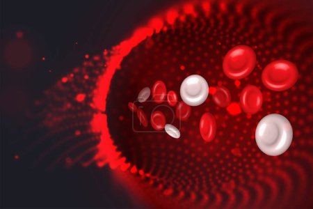 Ilustración de Glóbulos rojos y blancos en una arteria. Venas y vasos ilustración. - Imagen libre de derechos