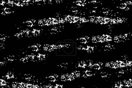 Photo for Vector illustration. background in black and white, abstract texture. - Royalty Free Image