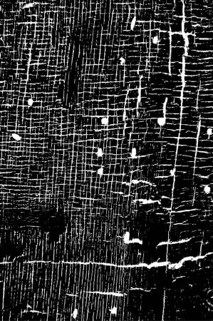 Illustration for Distressed texture in black and white. scratches and grunge design - Royalty Free Image