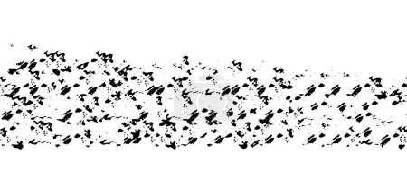Illustration for Texture black and white abstract print and design - Royalty Free Image