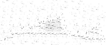 Illustration for Abstract background. monochrome texture - Royalty Free Image