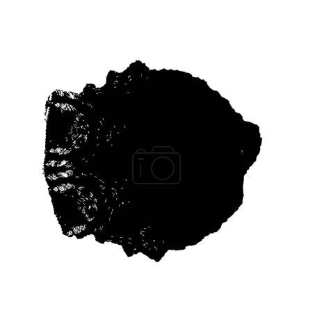Ilustración de Vector dibujado a mano mancha de acuarela. pincelada en blanco y negro. - Imagen libre de derechos