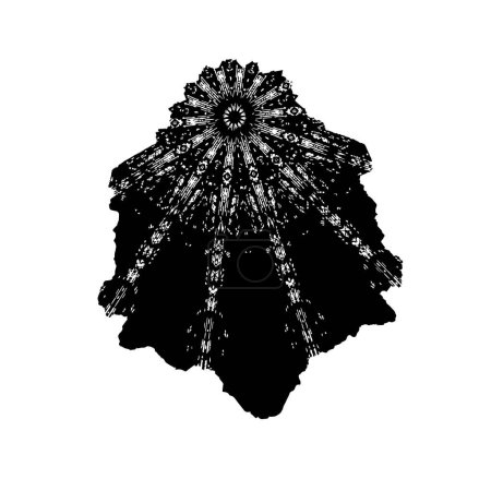 Ilustración de Acuarela dibujada a mano conchas de mar - Imagen libre de derechos