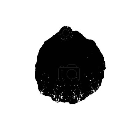 Illustration for Distressed background in black and white texture. abstract vector illustration. - Royalty Free Image