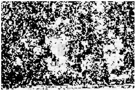 Ilustración de Superposición grunge de textura en blanco y negro. fondo vector abstracto - Imagen libre de derechos