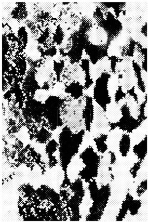 Ilustración de Capa superpuesta de grunge. Fondo vectorial abstracto en blanco y negro. Superficie vintage monocromática con patrón sucio en grietas, manchas, puntos. - Imagen libre de derechos