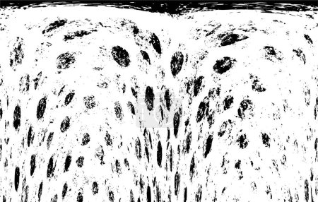 Ilustración de Negro y blanco monocromo viejo grunge vintage fondo abstracto textura - Imagen libre de derechos