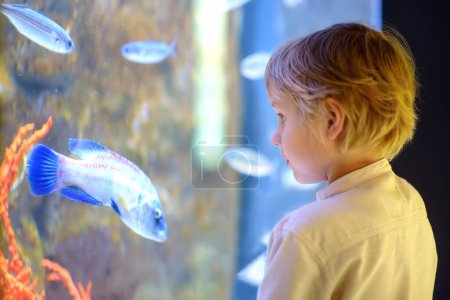 Foto de Little boy watches fishes in aquarium. Child exploring nature. Elementary student is on excursion in seaquarium. Biology lessons. - Imagen libre de derechos